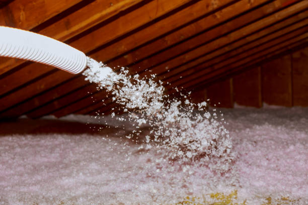 Best Insulation Removal  in Fort Hood, TX